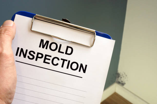 Best Mold Removal for HVAC Installations  in Miles, TX